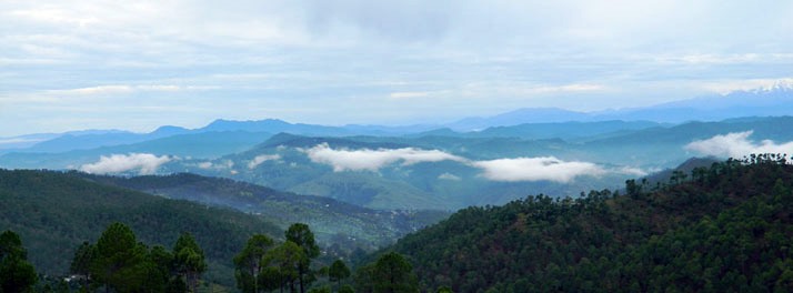1724/Elphinstone Himalaya Resort - Almora 10.jpg